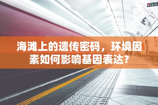 海滩上的遗传密码，环境因素如何影响基因表达？