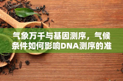 气象万千与基因测序，气候条件如何影响DNA测序的准确性与效率？