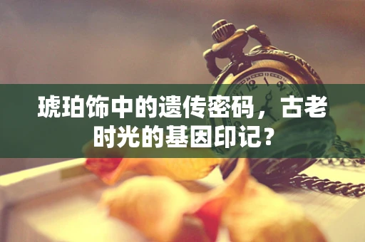 琥珀饰中的遗传密码，古老时光的基因印记？