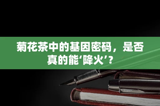 菊花茶中的基因密码，是否真的能‘降火’？
