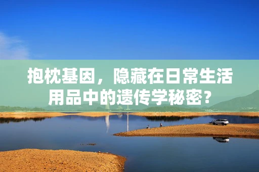 抱枕基因，隐藏在日常生活用品中的遗传学秘密？