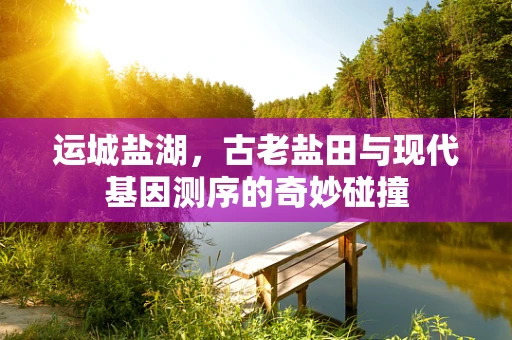 运城盐湖，古老盐田与现代基因测序的奇妙碰撞