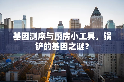 基因测序与厨房小工具，锅铲的基因之谜？