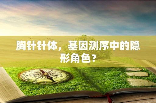 胸针针体，基因测序中的隐形角色？