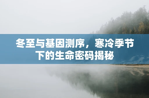 冬至与基因测序，寒冷季节下的生命密码揭秘