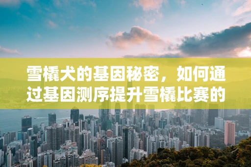 雪橇犬的基因秘密，如何通过基因测序提升雪橇比赛的竞技水平？
