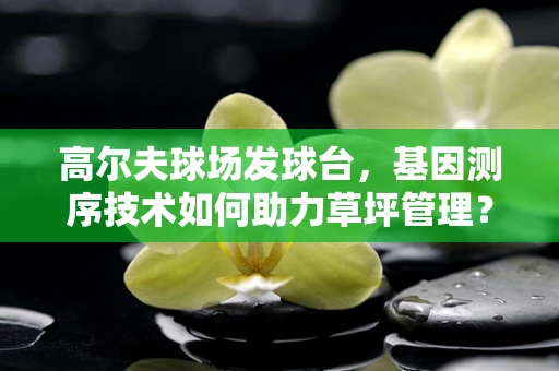 高尔夫球场发球台，基因测序技术如何助力草坪管理？