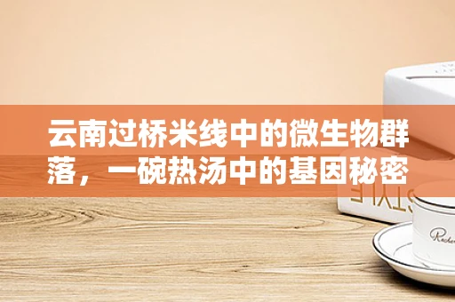 云南过桥米线中的微生物群落，一碗热汤中的基因秘密？