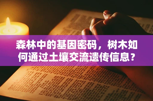 森林中的基因密码，树木如何通过土壤交流遗传信息？
