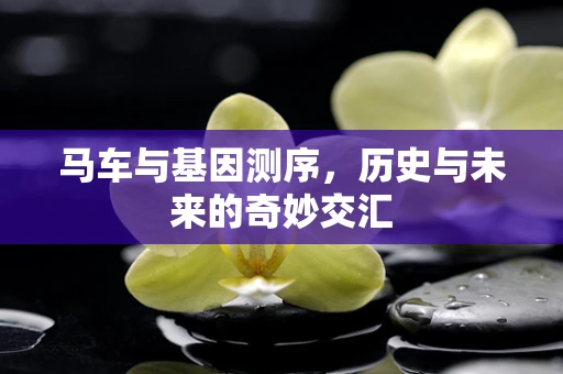 马车与基因测序，历史与未来的奇妙交汇