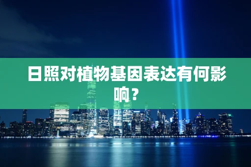 日照对植物基因表达有何影响？