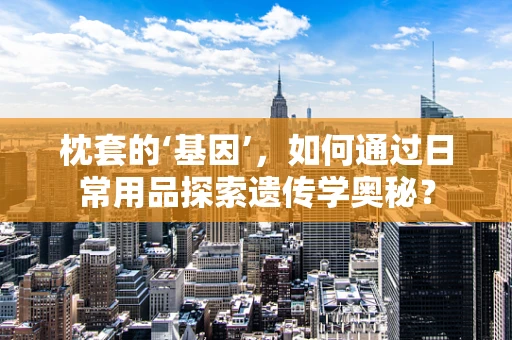 枕套的‘基因’，如何通过日常用品探索遗传学奥秘？