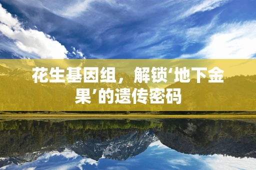 花生基因组，解锁‘地下金果’的遗传密码