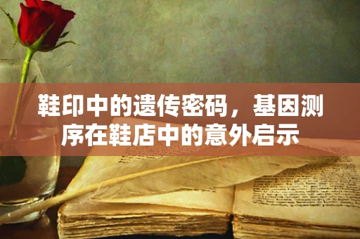 鞋印中的遗传密码，基因测序在鞋店中的意外启示