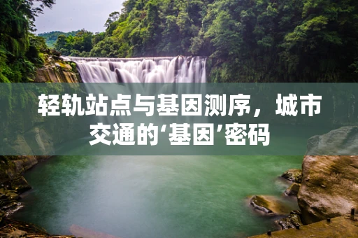 轻轨站点与基因测序，城市交通的‘基因’密码