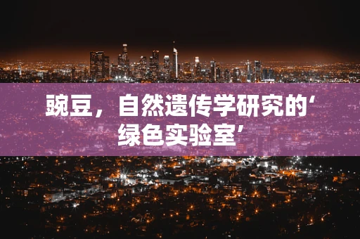 豌豆，自然遗传学研究的‘绿色实验室’