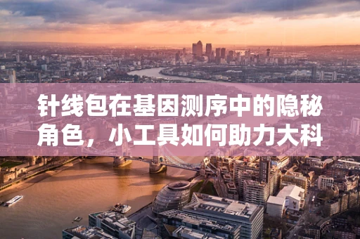 针线包在基因测序中的隐秘角色，小工具如何助力大科学？