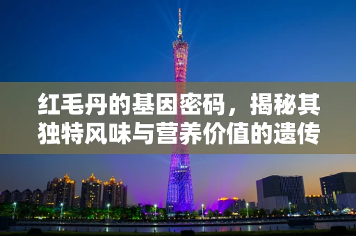 红毛丹的基因密码，揭秘其独特风味与营养价值的遗传基础