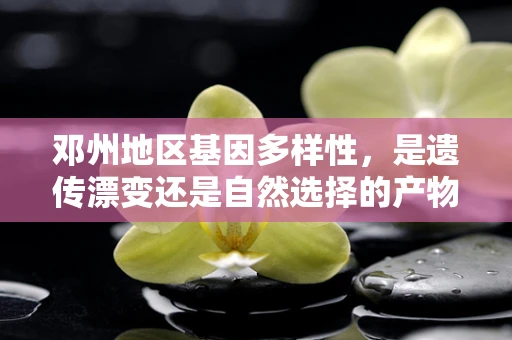邓州地区基因多样性，是遗传漂变还是自然选择的产物？