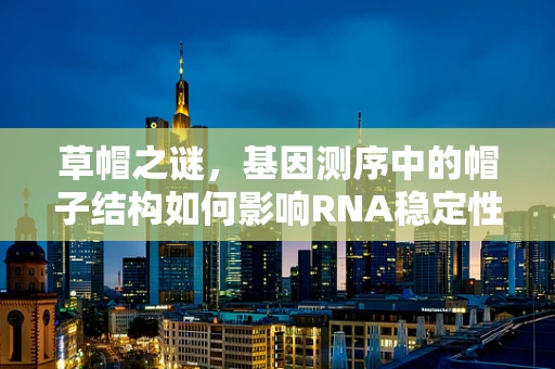 草帽之谜，基因测序中的帽子结构如何影响RNA稳定性？