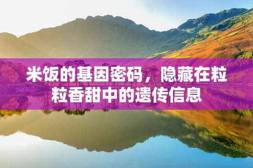 米饭的基因密码，隐藏在粒粒香甜中的遗传信息