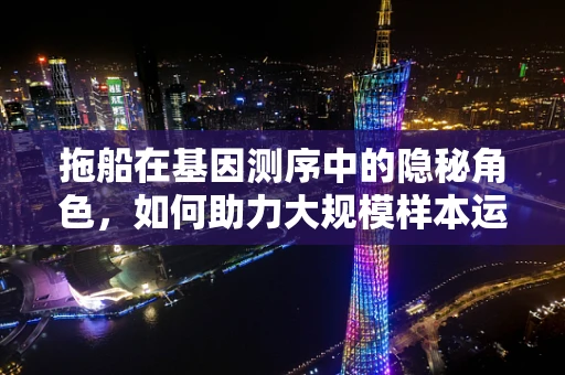 拖船在基因测序中的隐秘角色，如何助力大规模样本运输？