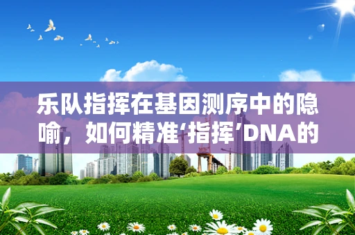 乐队指挥在基因测序中的隐喻，如何精准‘指挥’DNA的‘演奏’？