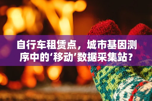 自行车租赁点，城市基因测序中的‘移动’数据采集站？