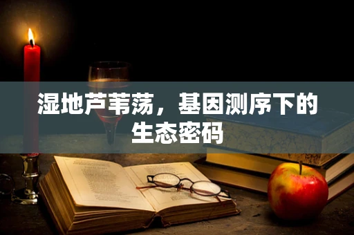 湿地芦苇荡，基因测序下的生态密码