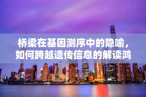 桥梁在基因测序中的隐喻，如何跨越遗传信息的解读鸿沟？