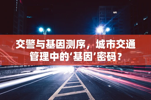 交警与基因测序，城市交通管理中的‘基因’密码？