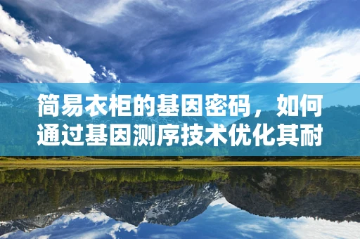 简易衣柜的基因密码，如何通过基因测序技术优化其耐用性与环保性？