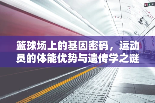 篮球场上的基因密码，运动员的体能优势与遗传学之谜