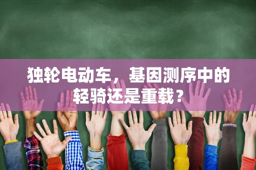独轮电动车，基因测序中的轻骑还是重载？