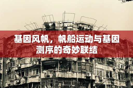 基因风帆，帆船运动与基因测序的奇妙联结