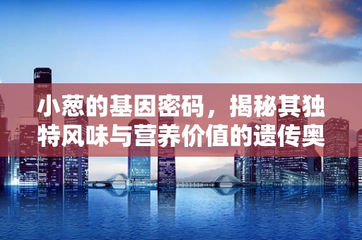 小葱的基因密码，揭秘其独特风味与营养价值的遗传奥秘