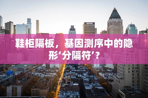 鞋柜隔板，基因测序中的隐形‘分隔符’？