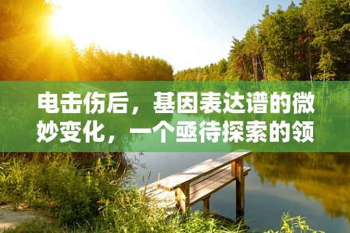 电击伤后，基因表达谱的微妙变化，一个亟待探索的领域