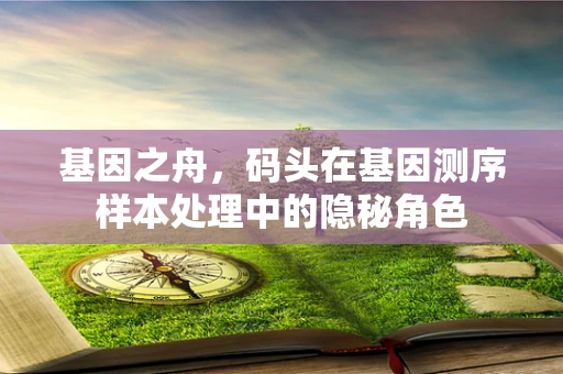 基因之舟，码头在基因测序样本处理中的隐秘角色