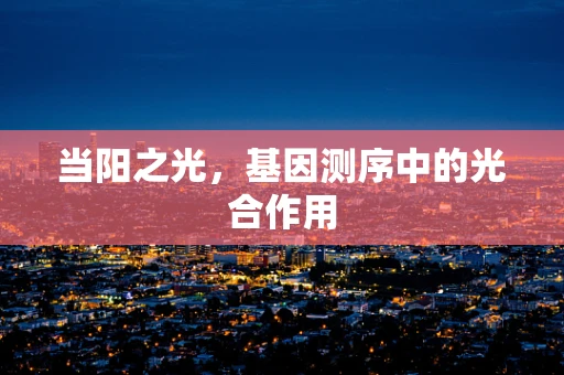 当阳之光，基因测序中的光合作用