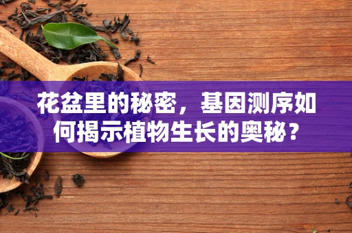 花盆里的秘密，基因测序如何揭示植物生长的奥秘？