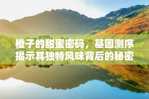 橙子的甜蜜密码，基因测序揭示其独特风味背后的秘密
