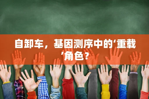 自卸车，基因测序中的‘重载’角色？