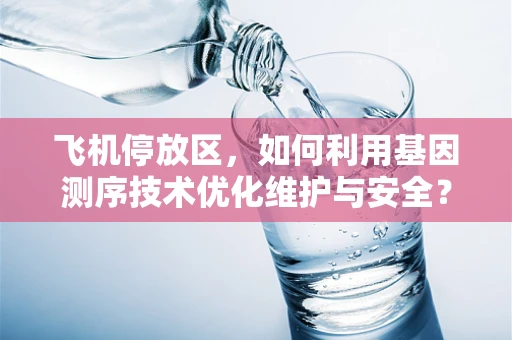 飞机停放区，如何利用基因测序技术优化维护与安全？