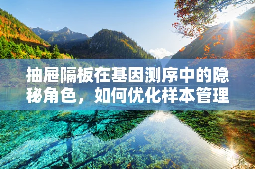 抽屉隔板在基因测序中的隐秘角色，如何优化样本管理效率？