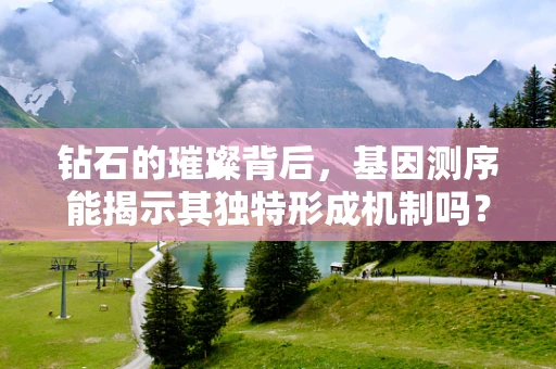 钻石的璀璨背后，基因测序能揭示其独特形成机制吗？