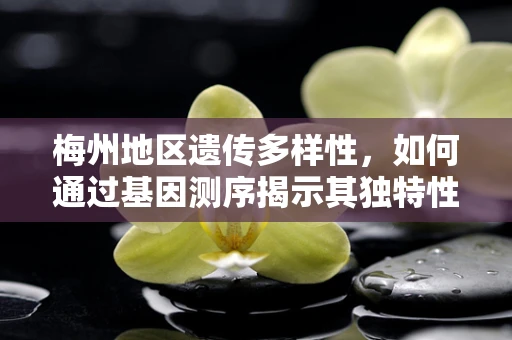 梅州地区遗传多样性，如何通过基因测序揭示其独特性？