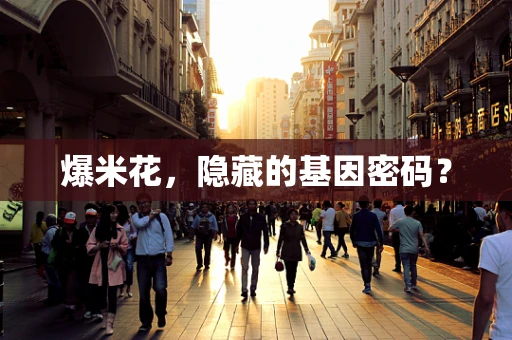 爆米花，隐藏的基因密码？