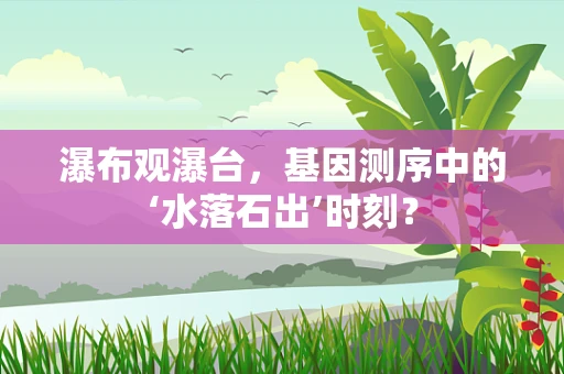 瀑布观瀑台，基因测序中的‘水落石出’时刻？