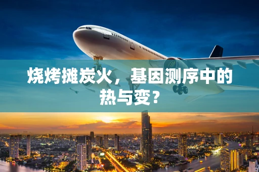 烧烤摊炭火，基因测序中的热与变？